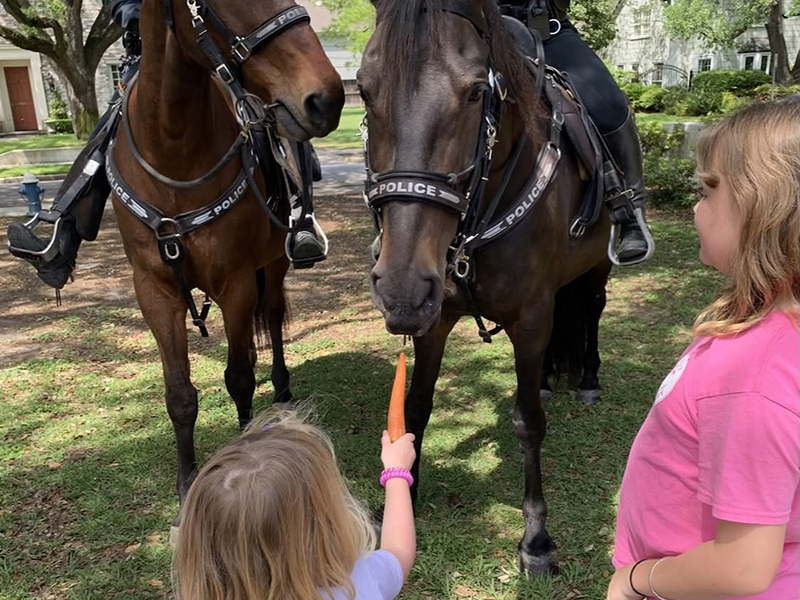 Little girls feeding a carrot to a police horse