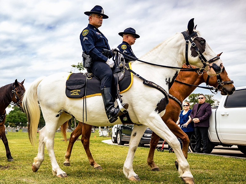 Police officers on horses